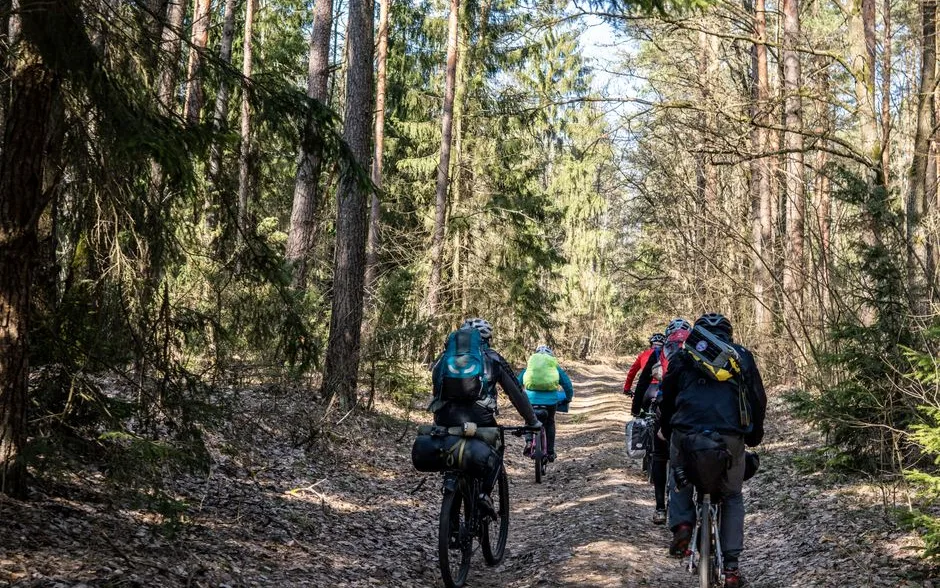 Groupe de cyclistes sur un chemin forestier
